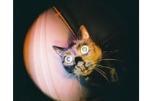 Load image into Gallery viewer, Lomography Fisheye Baby 110 - Metal Black