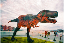 Load image into Gallery viewer, LomoApparat 21mm Chiyoda Edition