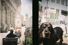 Load image into Gallery viewer, Lomourette Half-frame & Flash Picnic Edition