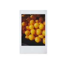 Load image into Gallery viewer, Lomo Instant Automat - Glass & Lenses - Serengeti