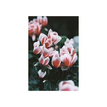 Load image into Gallery viewer, Lomography LomoChrome Color '92 - 110 Film , ISO400 (1-pack)
