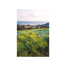 Load image into Gallery viewer, Lomography 400/36 Colorneg - 3 Pack