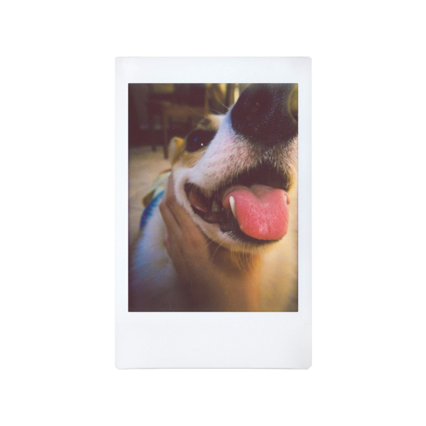Lomo'Instant Automat Glass Ema Ichikawa — sample photo