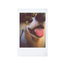 Load image into Gallery viewer, Lomo’Instant Automat Glass Ema Ichikawa Edition