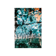 Load image into Gallery viewer, Lomography Simple Use Reuseable Film Camera - 400/27 Turquoise