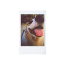 Load image into Gallery viewer, Lomo Instant Automat - Glass & Lenses - Serengeti