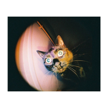 Load image into Gallery viewer, Lomography Fisheye Baby 110 - Bauhaus Edition