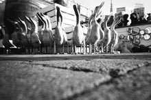 Load image into Gallery viewer, Lomography Simple Use Reusable Film Camera - B&W Negative 400 (27 exposures)