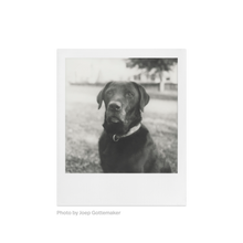 Load image into Gallery viewer, Polaroid SX-70 B&W Film