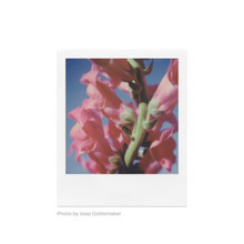 Load image into Gallery viewer, Polaroid SX-70 Color Film