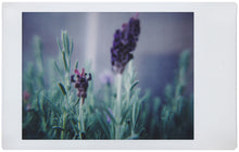 Load image into Gallery viewer, Lomo'Instant Automat Instant Film Camera & Lenses - Bora Bora Edition