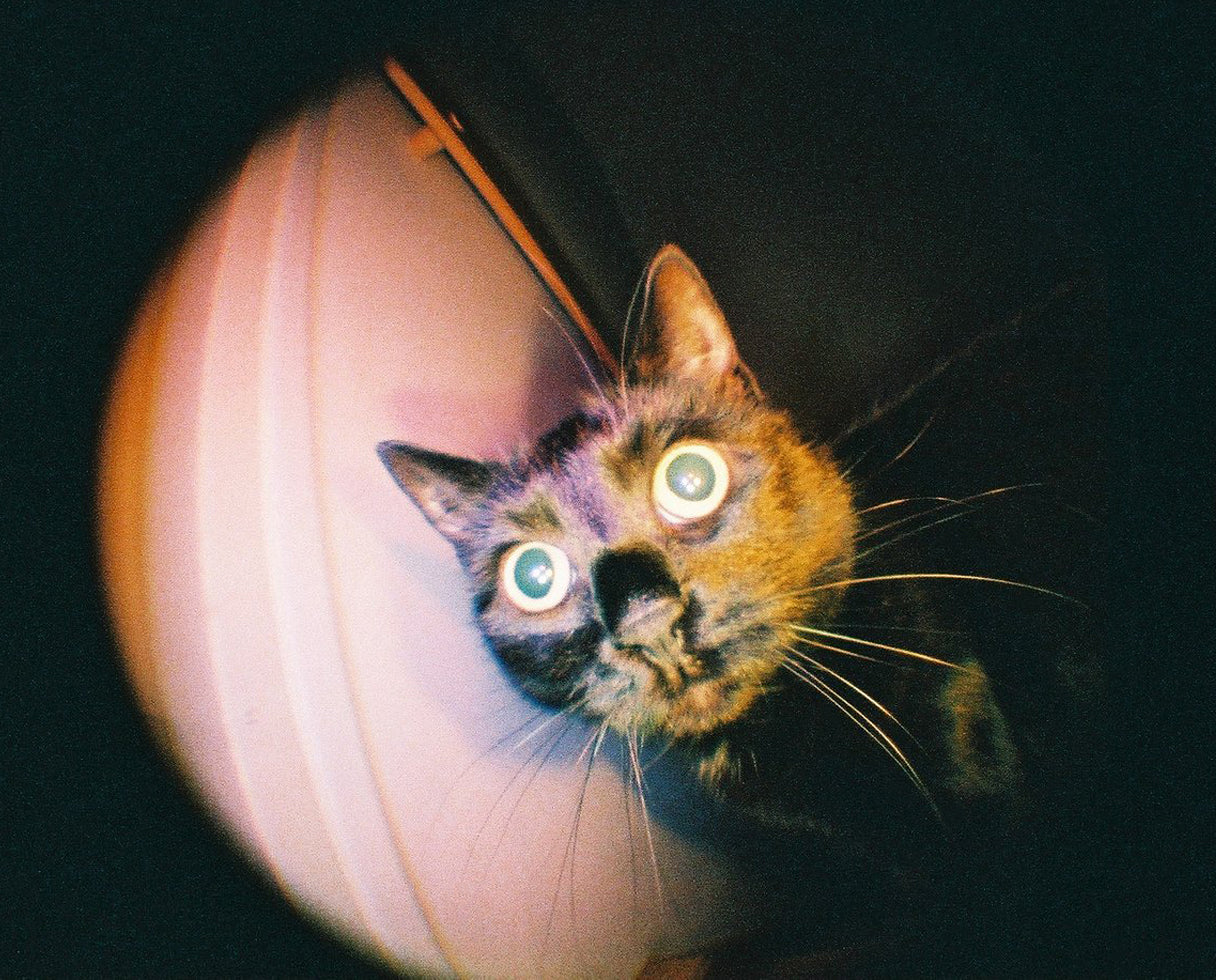 Lomography Fisheye Baby 110 Metal Black — sample photo