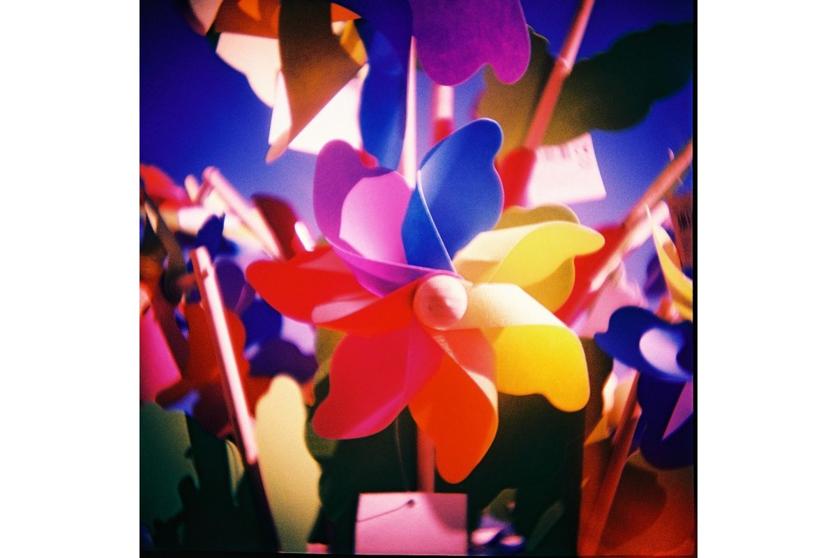 Diana F+ 10th Anniversary — sample photo