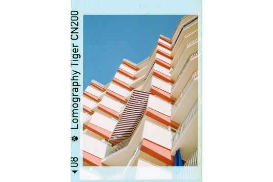 Lomography Color Tiger 110 3-Pack — lifestyle