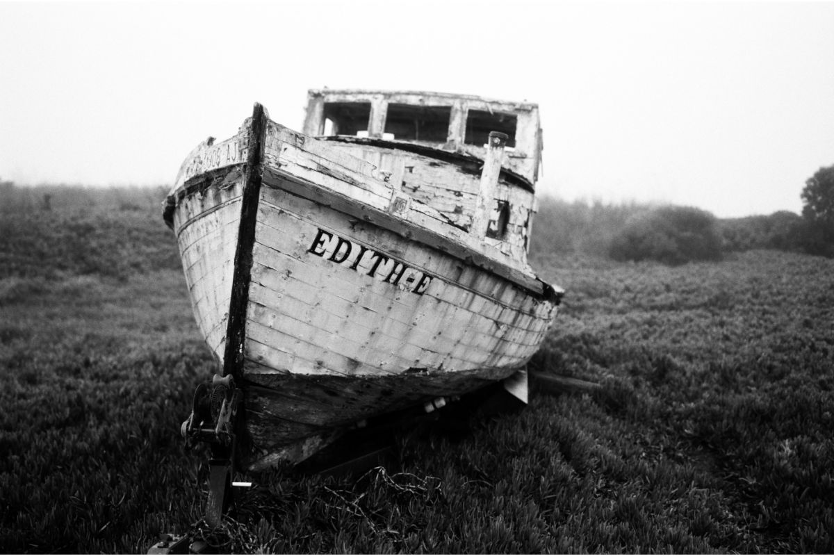 Lomography Earl Grey 100 — sample photo