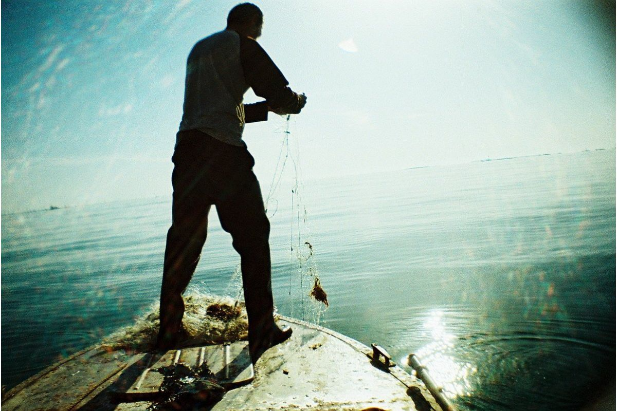 La Sardina Acapulco Caleta — back view