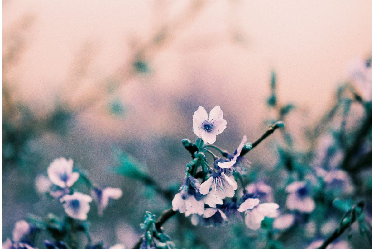 Lomography Turquoise 110 — sample photo
