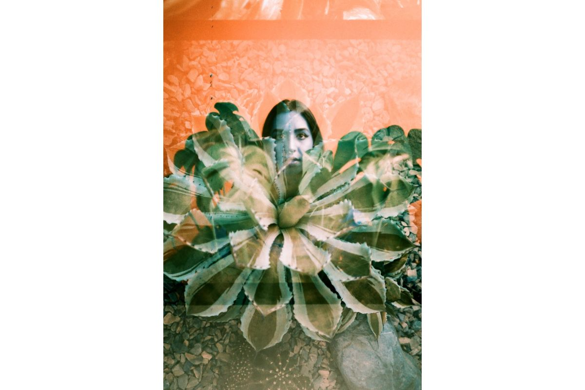 Analogue Trio Mixed Film Pack — contents