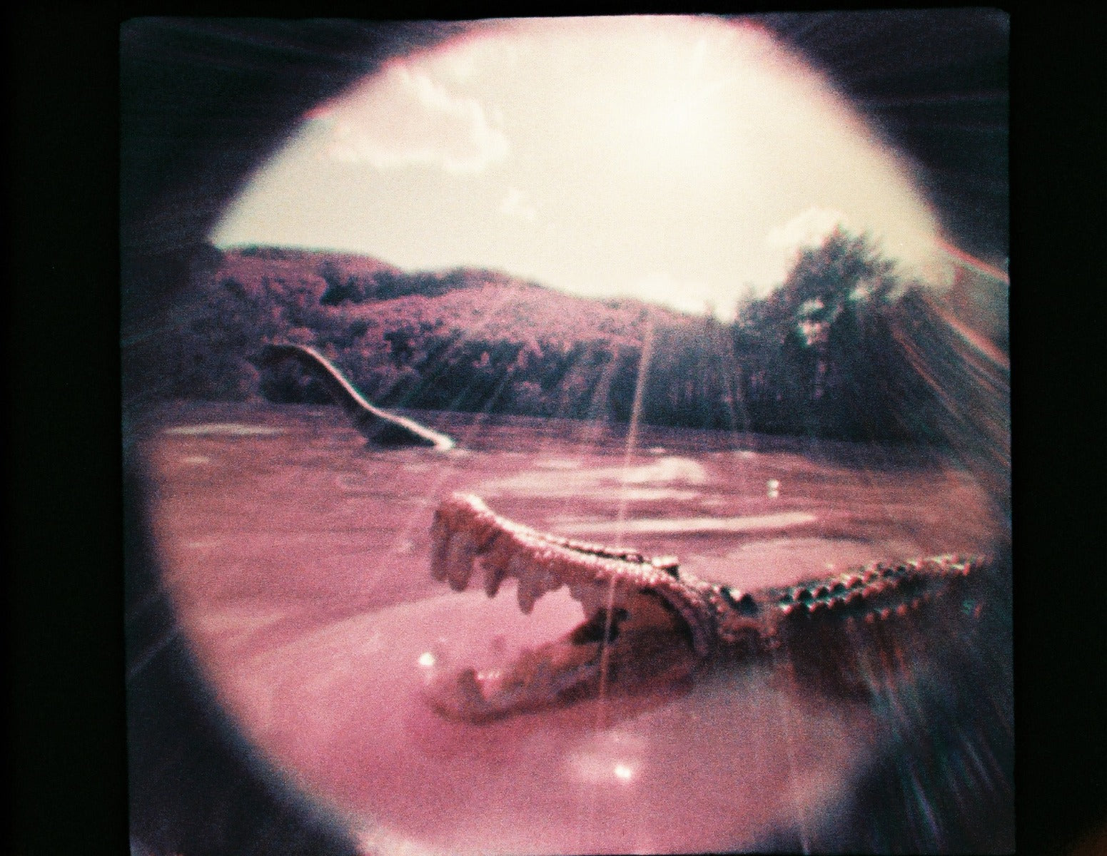 Lomography Fisheye Baby 110 Metal Black — sample photo