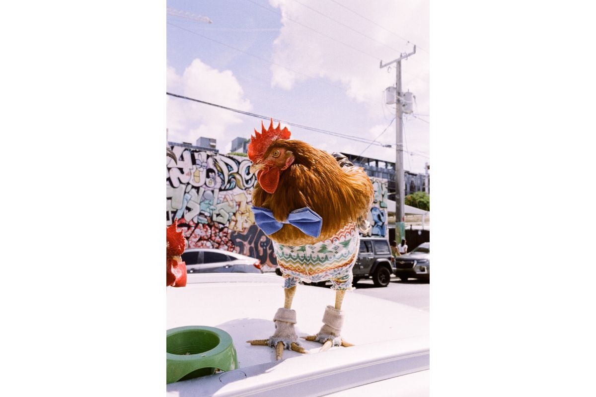 Lomography LomoChrome Metropolis 110 — sample photo