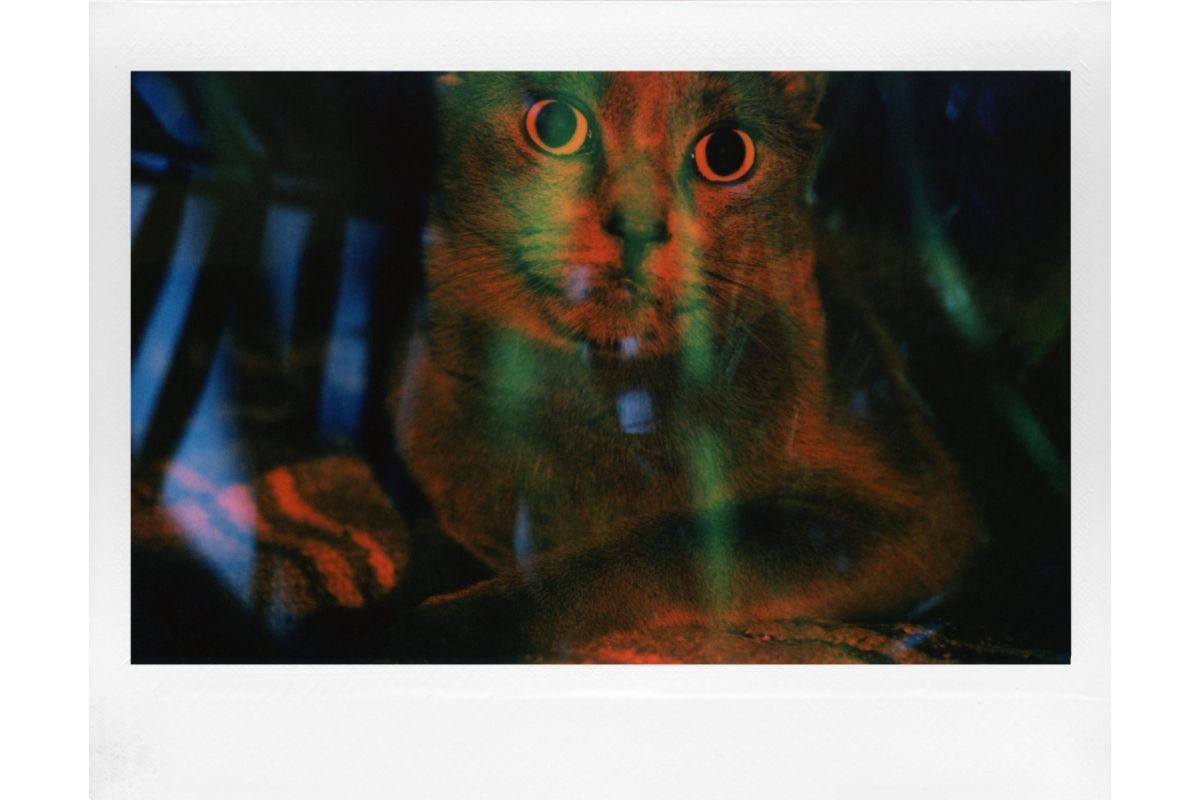 Lomo Instant Wide Glass
