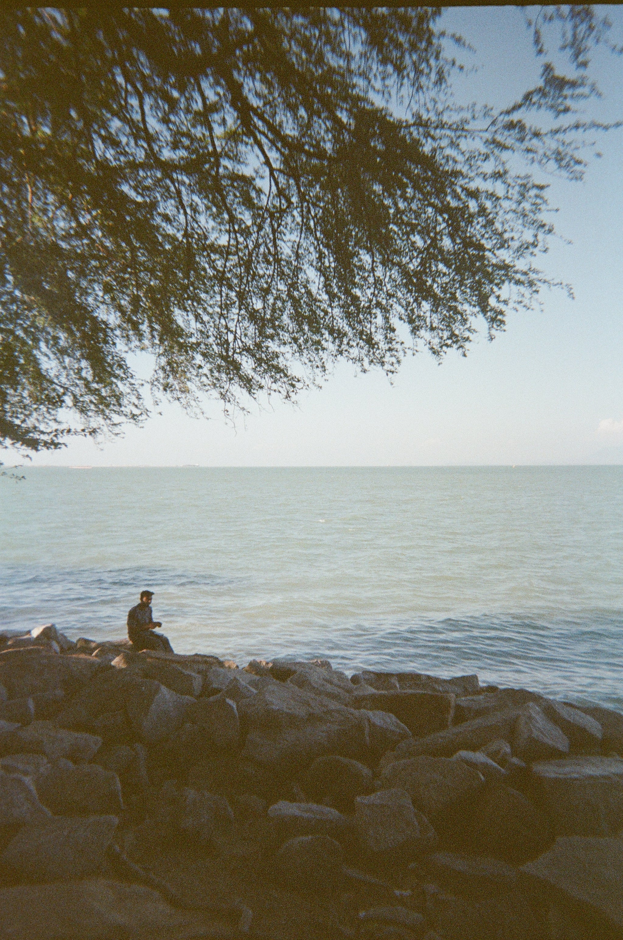 Film Camera