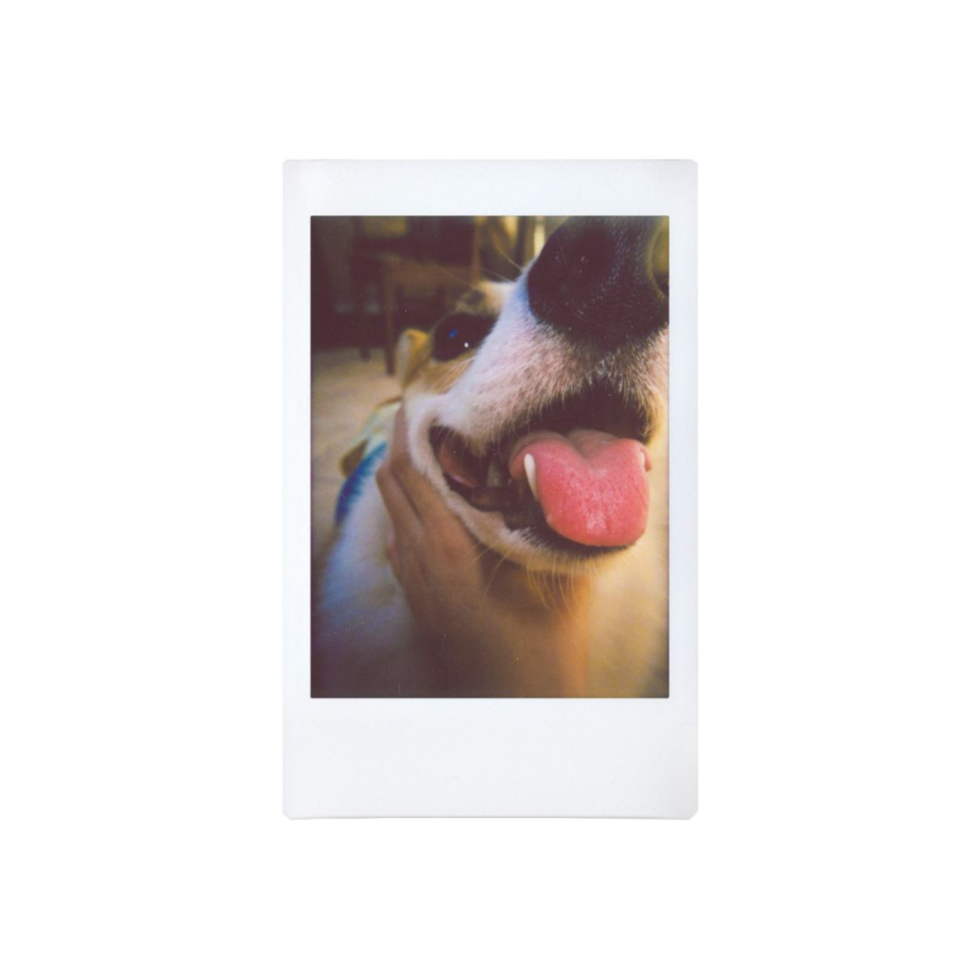 Lomo Instant Automat OPBENI — sample photo