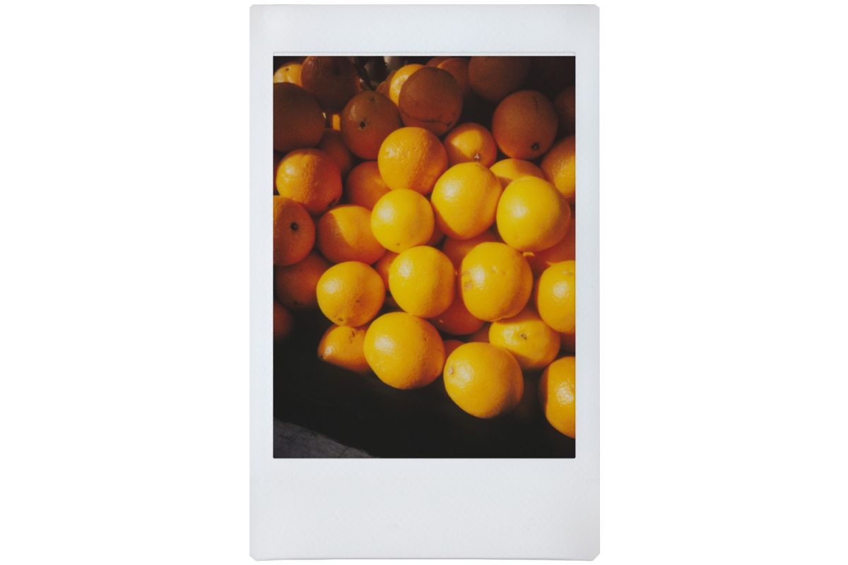 Lomo Instant Automat - Glass & Lenses - Serengeti