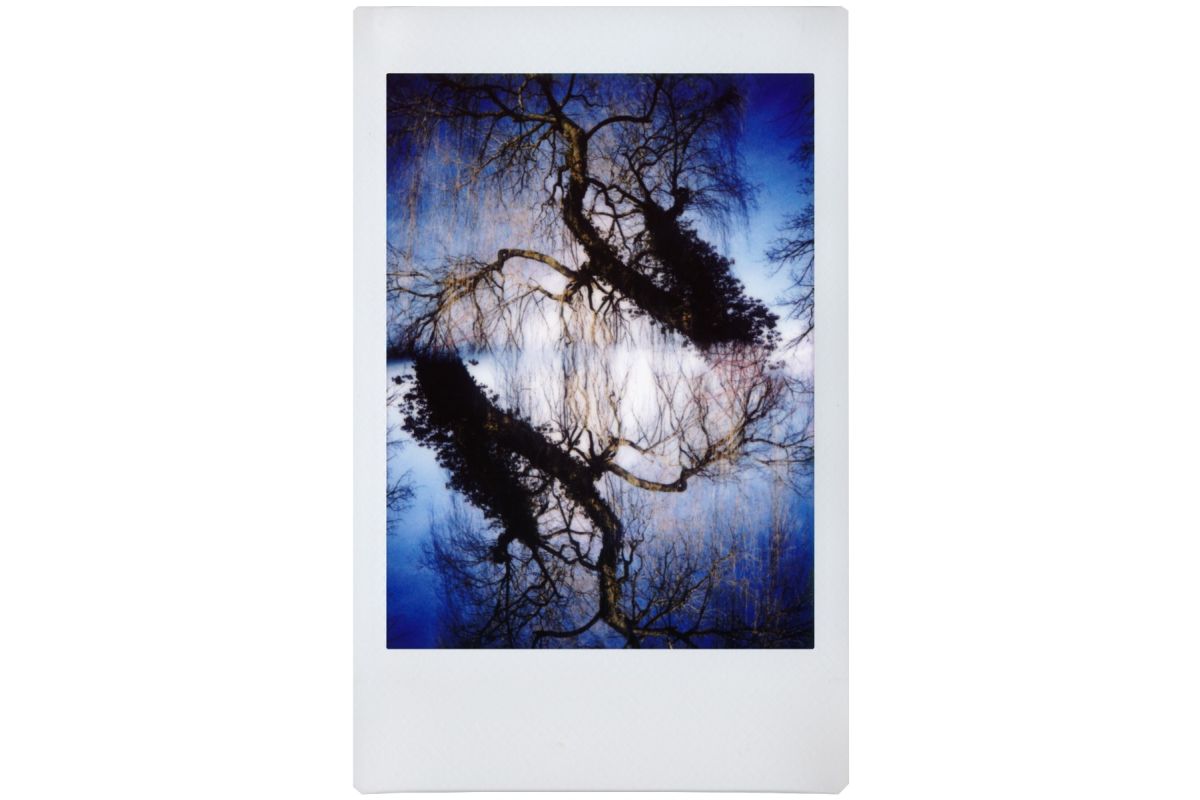 Lomo Instant Automat - Glass & Lenses - Serengeti