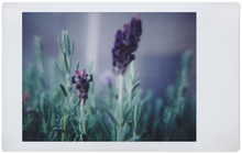 Load image into Gallery viewer, Lomo'Instant Automat Instant Film Camera &amp; Lenses - South Beach Edition