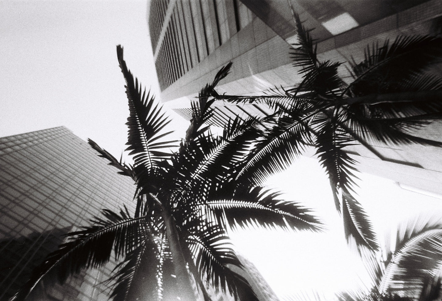 Lomography Simple Use B&W 400 — sample photo