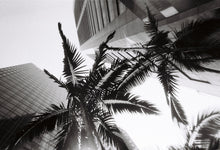 Load image into Gallery viewer, Lomography Simple Use Reusable Film Camera - B&amp;W Negative 400 (27 exposures)