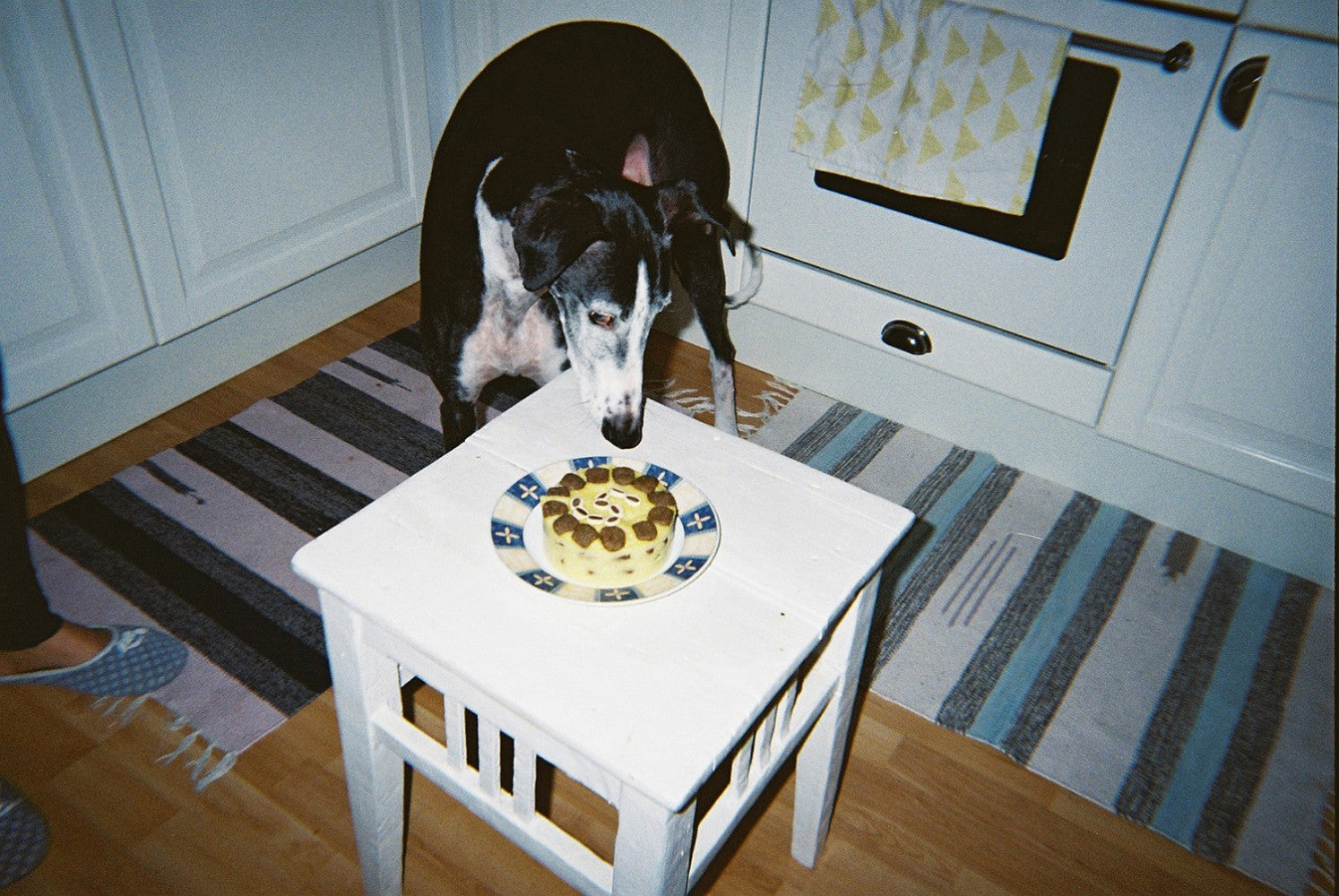 Lomography Simple Use Color 400 — sample photo
