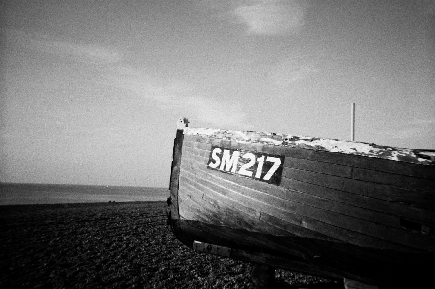 Lomography Simple Use B&W 400 — sample photo