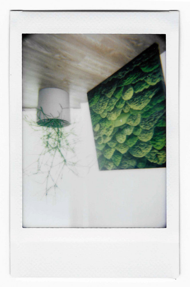 Lomo'Instant Automat Suntur Edition — packaging