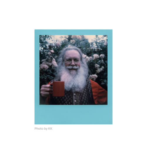 Polaroid 600 Color Film Color Frames Edition — instant photo sample