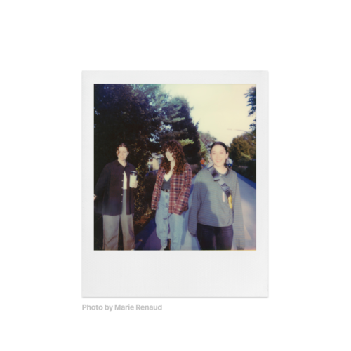 Polaroid 600 Color Film — instant photo sample