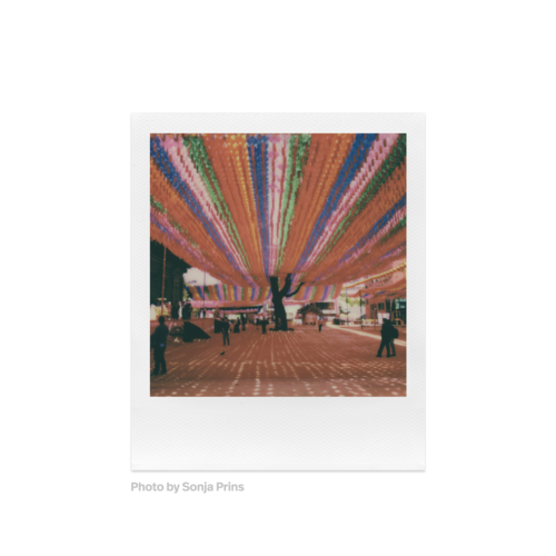 Polaroid i-Type Color Film — instant photo sample