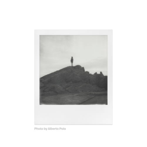 Polaroid SX-70 B&W Film — instant photo sample